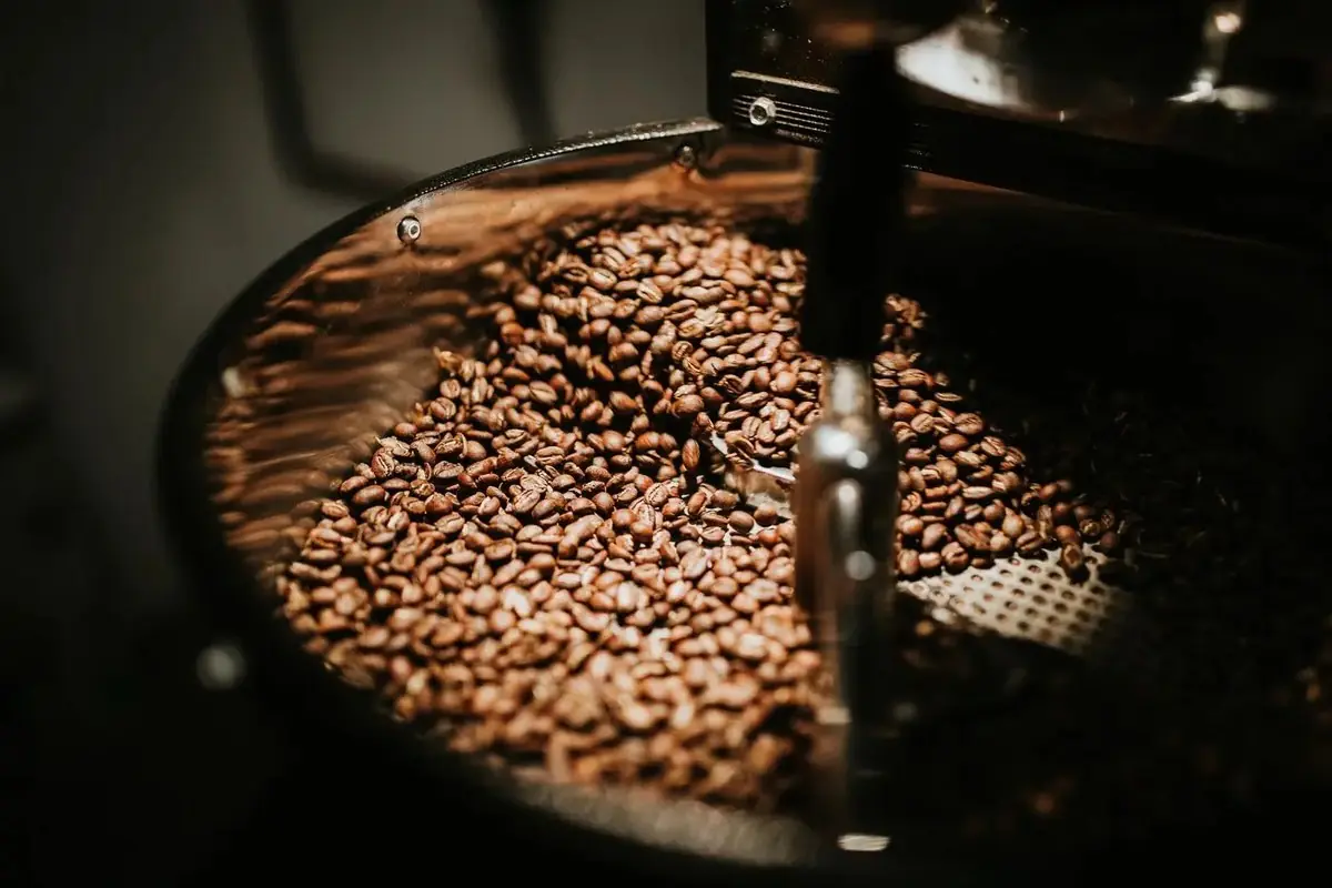 Hạt cà phê robusta đang rang