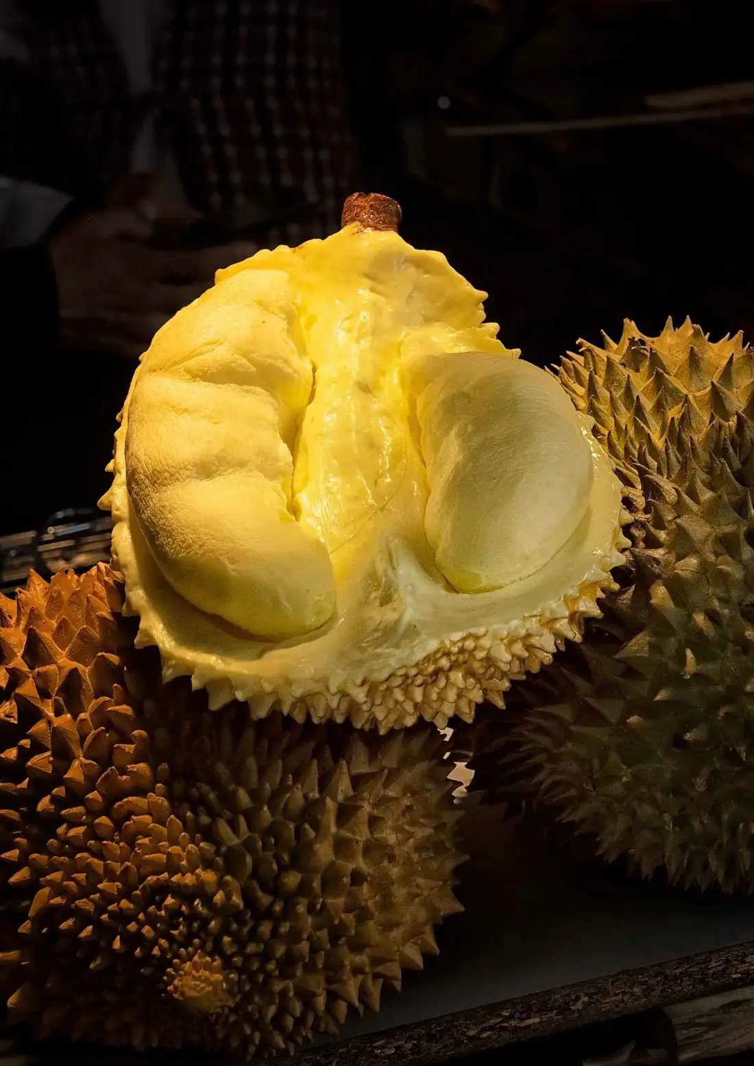 Sầu riêng múi vàng Tây Nguyên