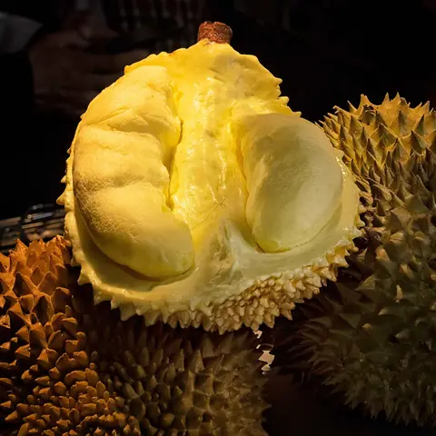 Sầu riêng múi vàng